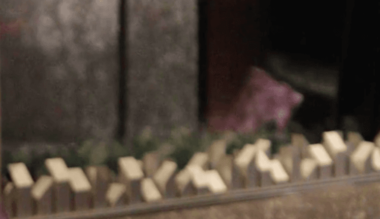 Listening Session - Exclusive Video Content 2